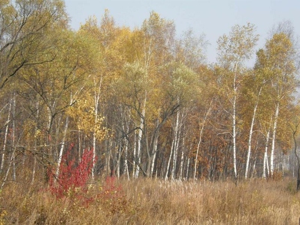 mini PA080068