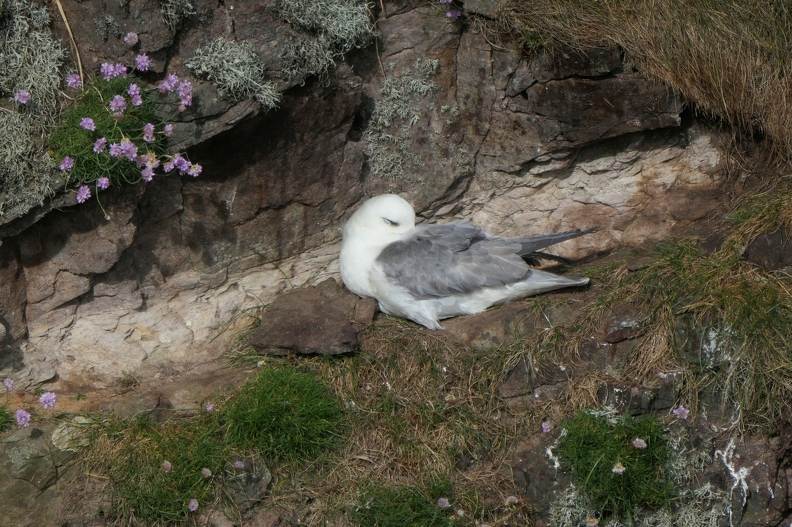 01037977_copy_2736x1824.jpg