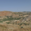 01038154 copy 2432x1824