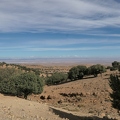01038301 copy 2432x1824