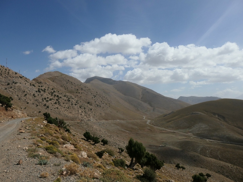 01038239_copy_2432x1824.jpg