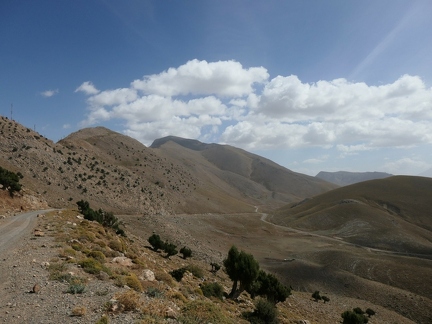 01038239 copy 2432x1824