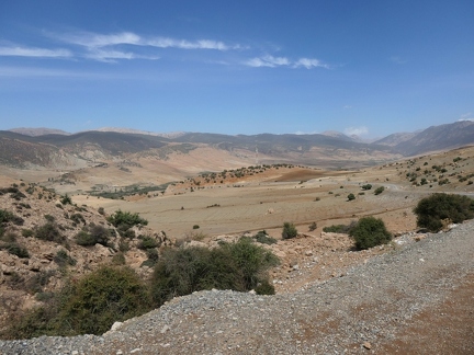 01038253 copy 2432x1824
