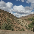 01038345 copy 2432x1824