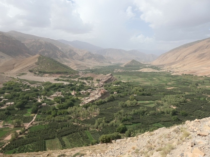 01038560 copy 2432x1824