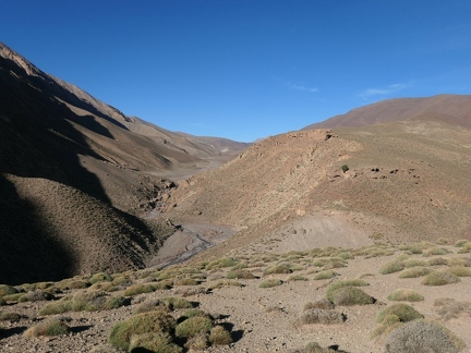 01038651 copy 2432x1824