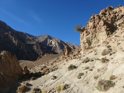 01038658 copy 2432x1824