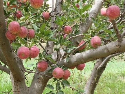 01038564 copy 2432x1824