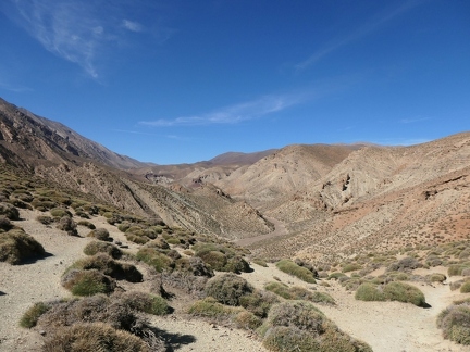 01038672 copy 2432x1824