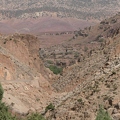 01038711 copy 2432x1824