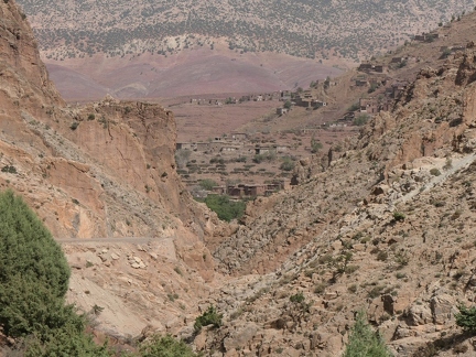01038711 copy 2432x1824