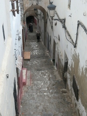 01049859 copy 1824x2432