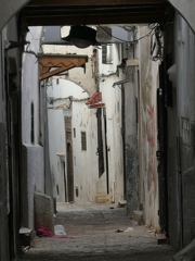 01049969 copy 1824x2432