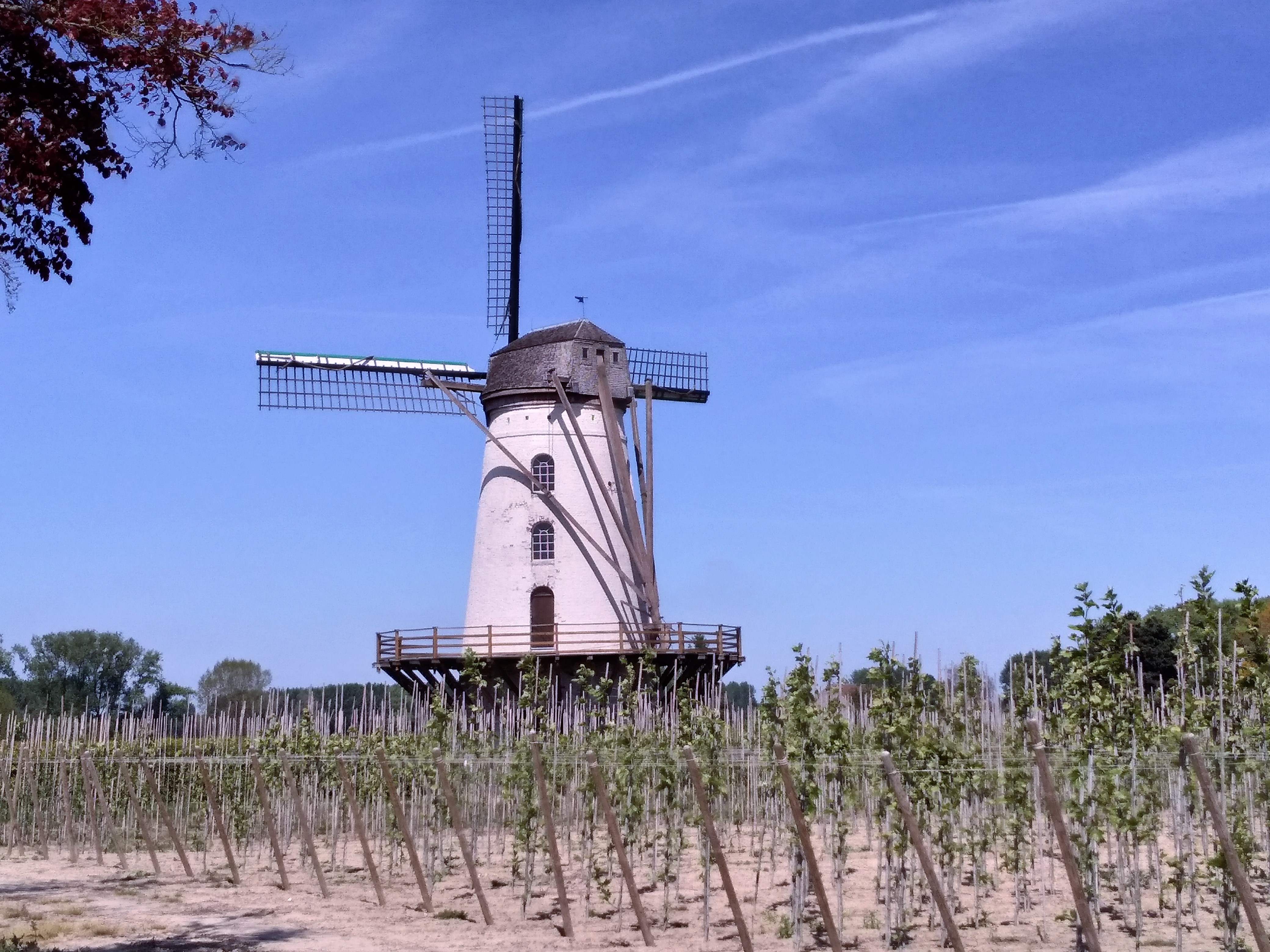 Tour d'Europe à vélo. Pays bas