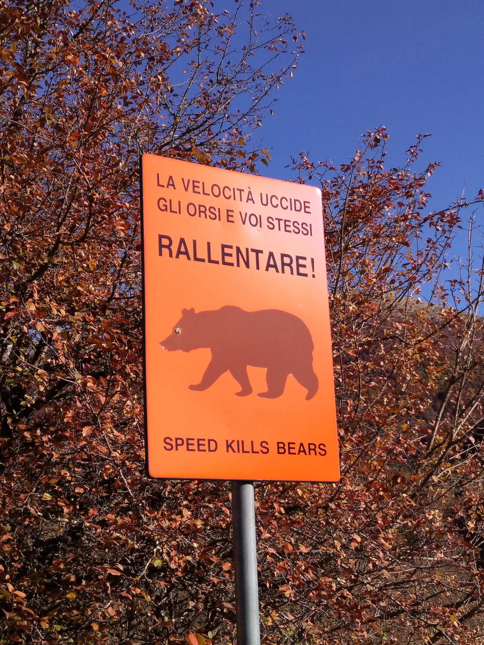 Tour d'Europe à vélo. Italie