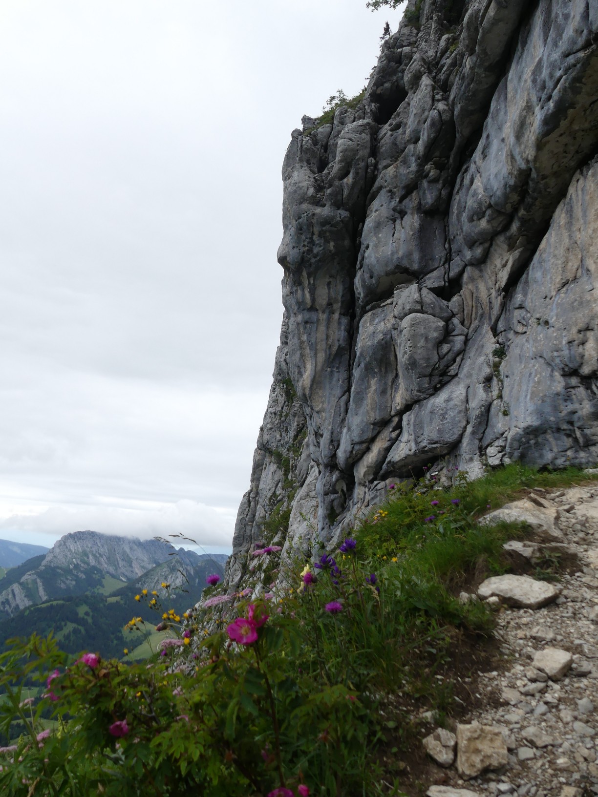 Traversée des Alpes à pied