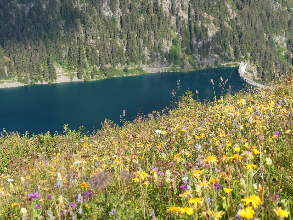 Traversée des Alpes à pied