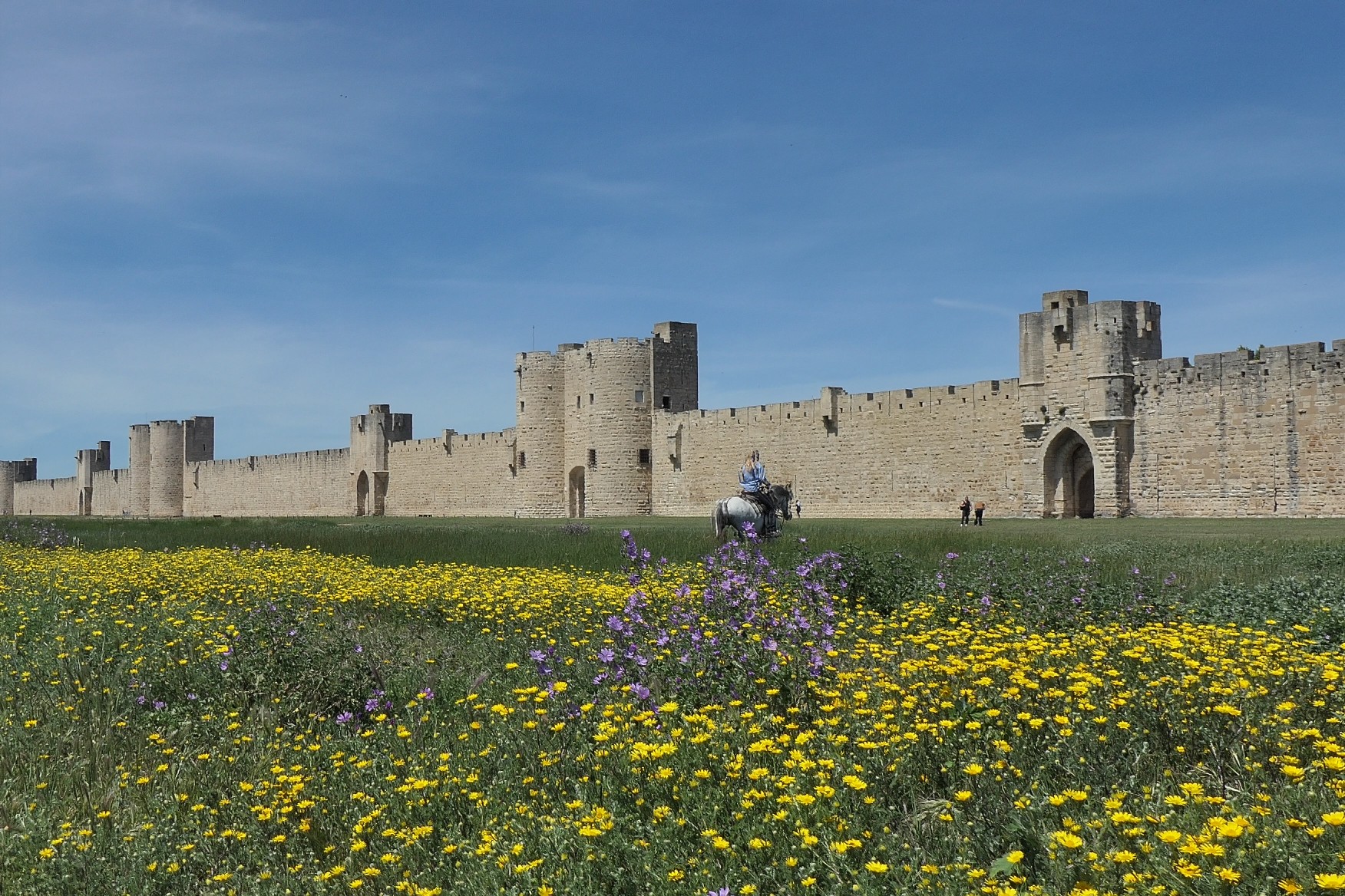 Nathalie Courtet. Aigues mortes