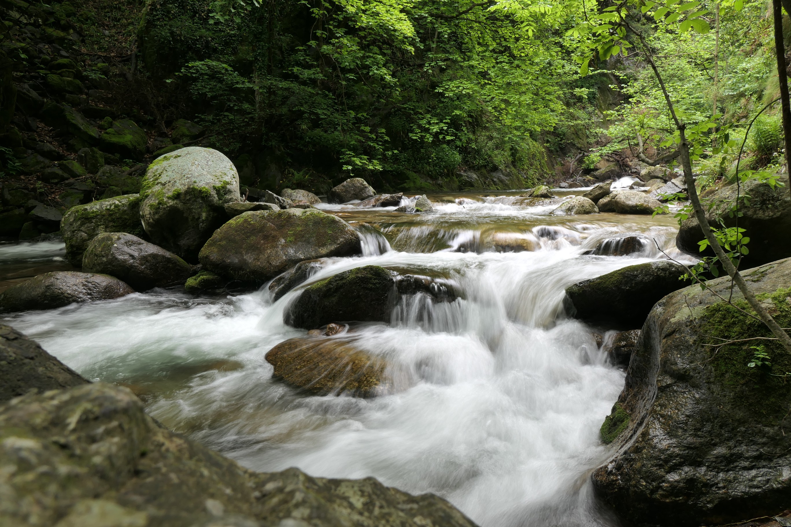 Les Pyrénées à pied