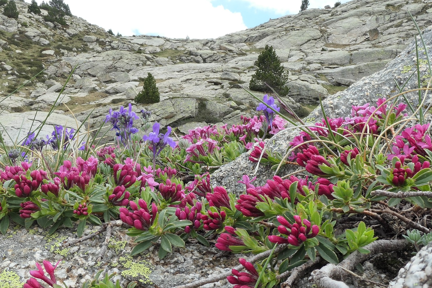 Les Pyrénées à pied