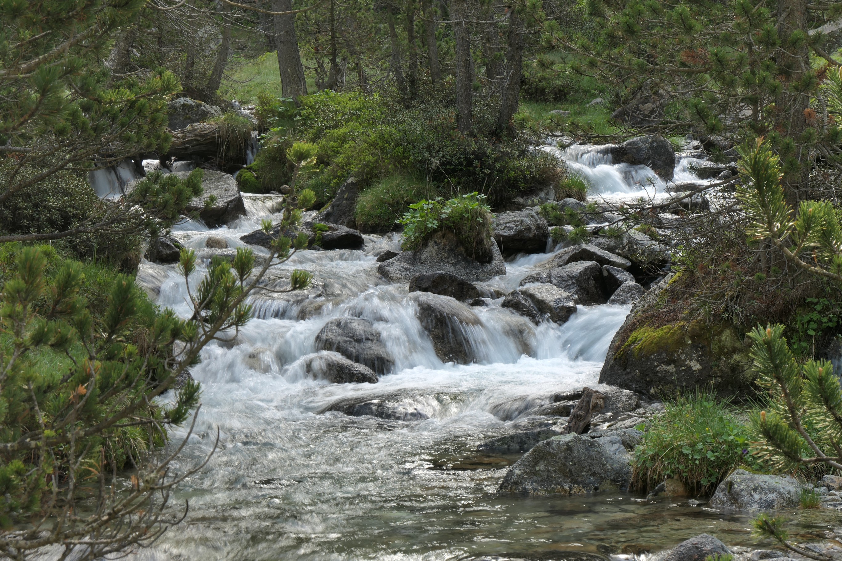 Les Pyrénées à pied