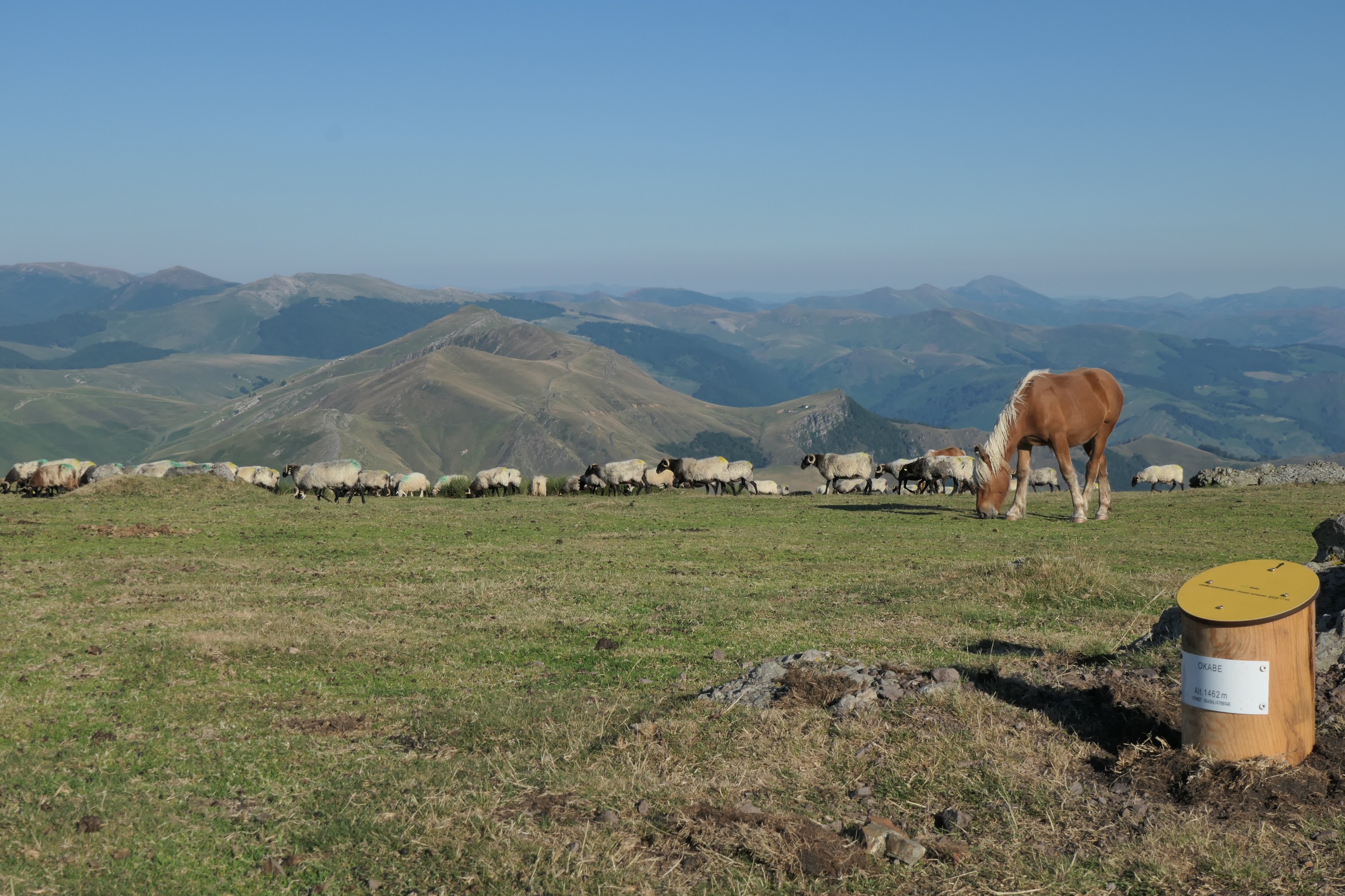 Les Pyrénées à pied