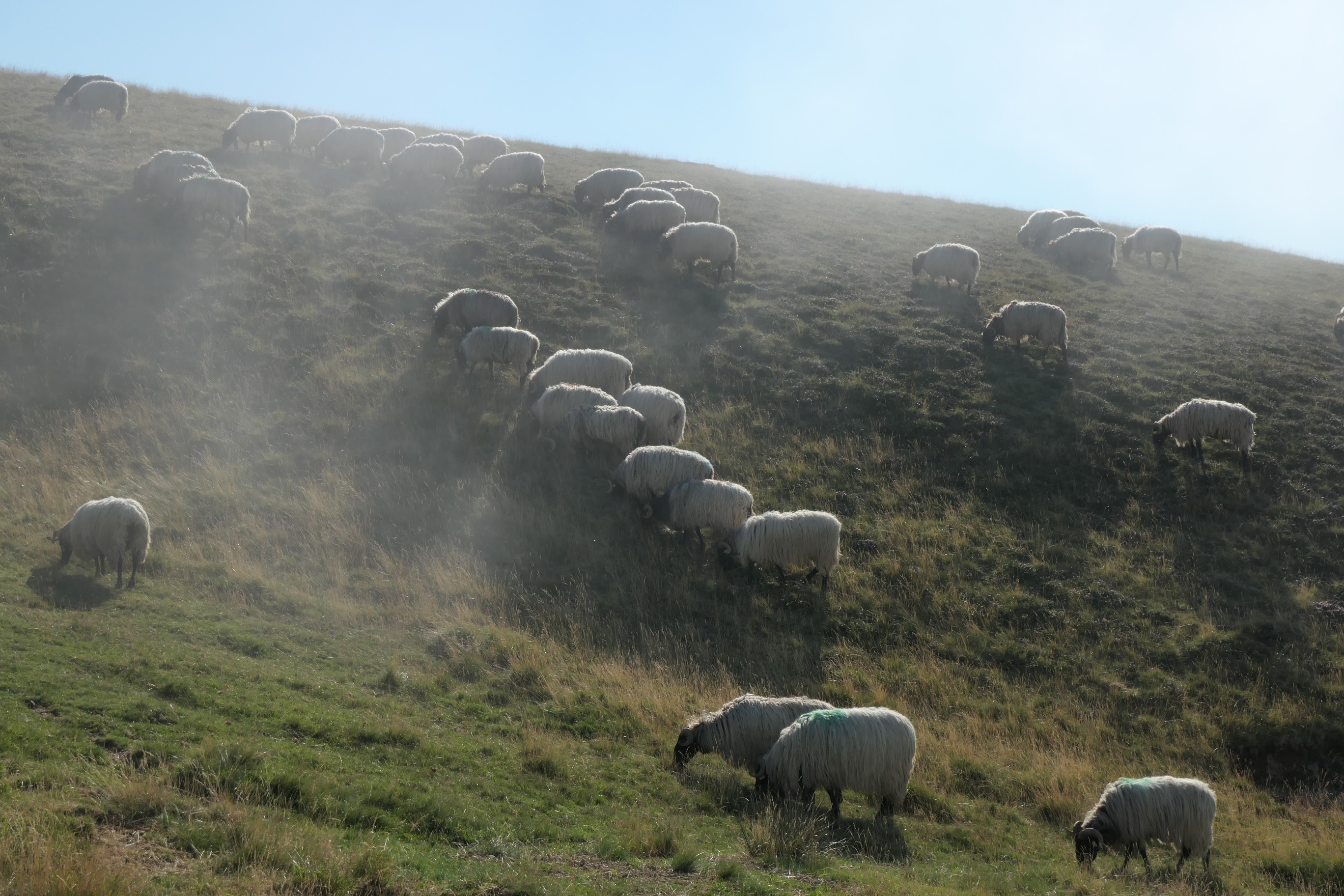 Les Pyrénées à pied