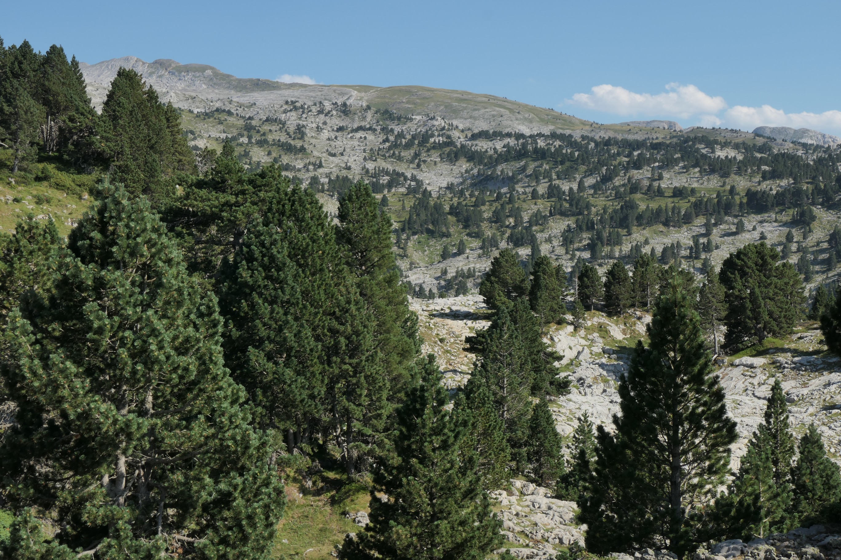 Les Pyrénées à pied