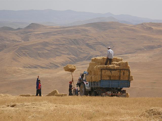 2015 - A pied dans le Caucase. Azerbaïdjan