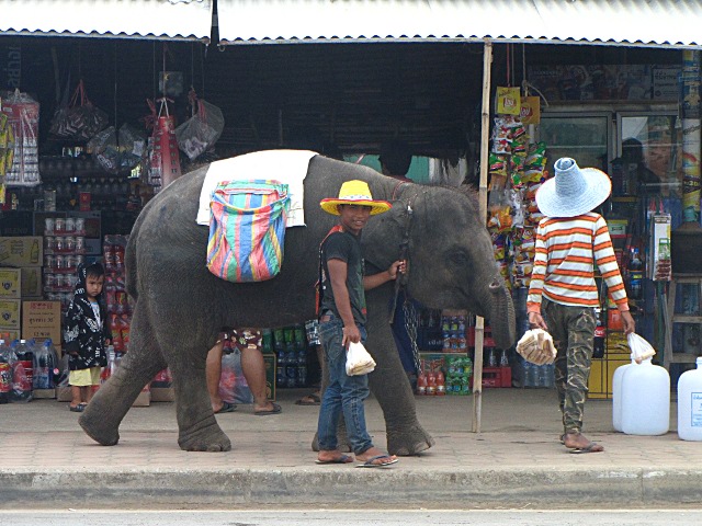 2010/2011 - A véo couché du Myanmar à la Russie et retour. Thaïlande