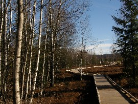 Tourbière bombée de Frasne