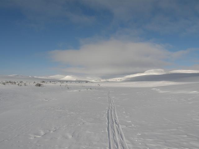 2014 - Expédition ski-pulka en solo. 71° Solitude Nord