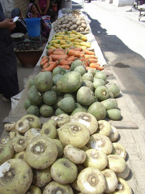 2009 - A vélo couché du Kazakhstan à l'Inde. Kirghizistan