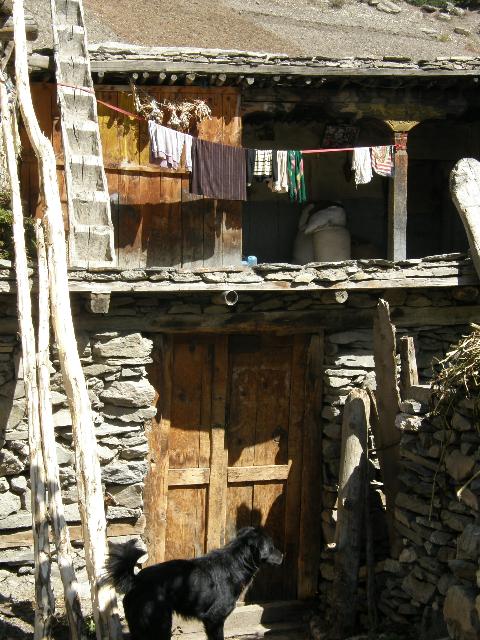 2009 - A vélo couché du Kazakhstan à l'Inde. Népal