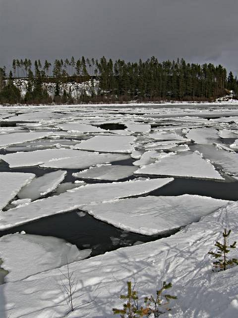 2010 - Dans le grand nord suèdois en ski-pulka-chien.