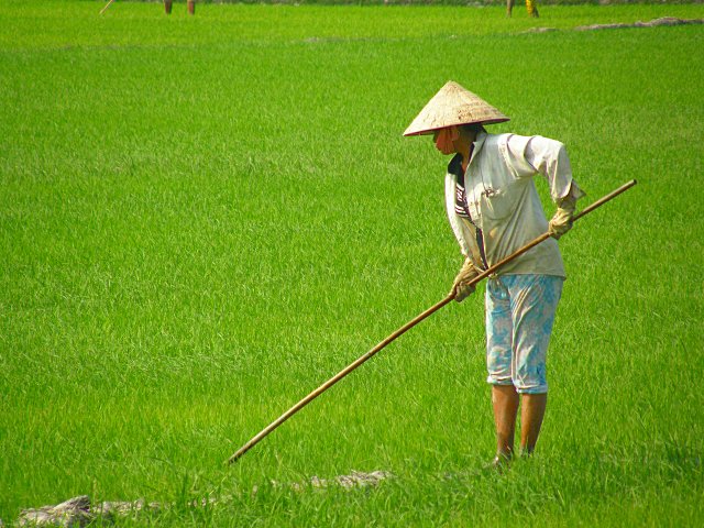 2010/2011 - A véo couché du Myanmar à la Russie et retour. Vietnam