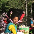 mini IMG 3071
