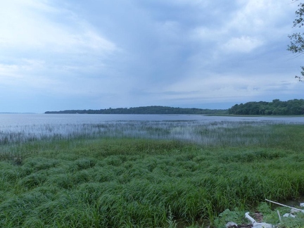 P1030218