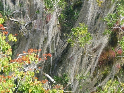 P1090510