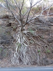 P1110036