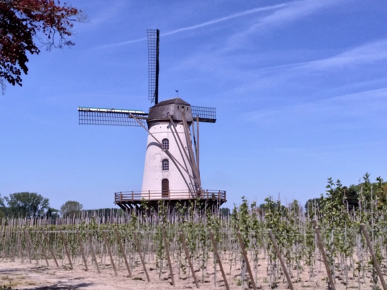 P_20190513_130540_vHDR_On.jpg