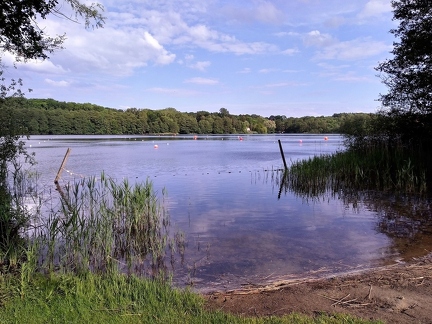 P 20190527 173822 vHDR On