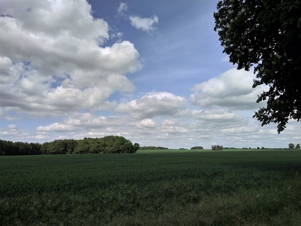 P 20190528 154309 vHDR On