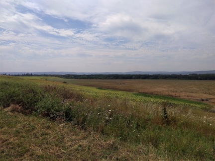 P 20190729 111917 vHDR On