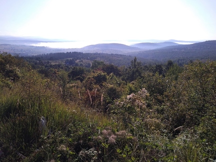 P 20190910 084148 vHDR On