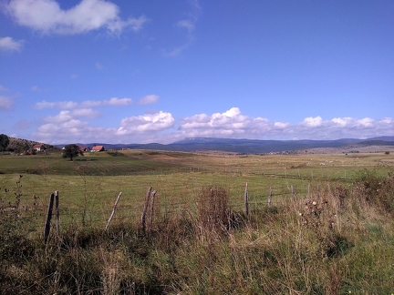 P 20190910 092920 vHDR On