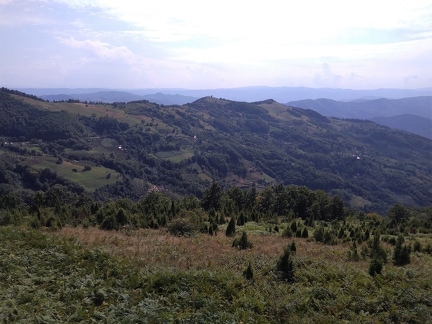 P 20190911 142520 vHDR On