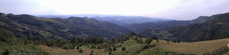 P 20190911 142537 PN