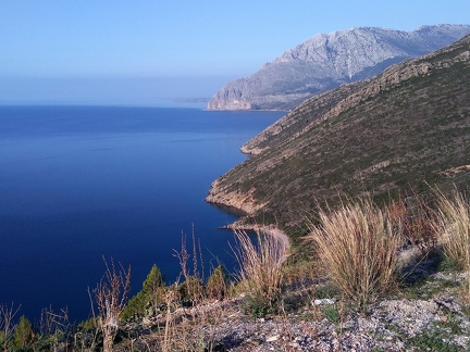 P 20191018 093406 vHDR On