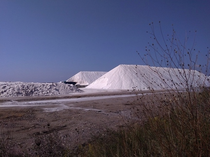 P 20191018 121246 vHDR On